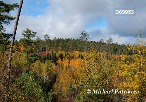 Algonquin Provincial Park, Ontario